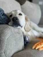 processed/810cecd2-eaa1-4ac8-ae0d-39a6f514e457/facility/87d85d6b-f2db-48f5-8b44-2b97b54fa319