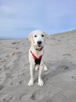 processed/810cecd2-eaa1-4ac8-ae0d-39a6f514e457/facility/946bcda1-3e73-4dd6-8901-b588c38dc22d