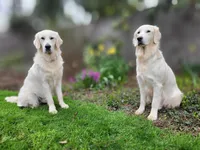 processed/810cecd2-eaa1-4ac8-ae0d-39a6f514e457/facility/a9a2922d-8aa5-4bf6-a9e2-b14c4366286c