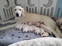 processed/810cecd2-eaa1-4ac8-ae0d-39a6f514e457/facility/f1a331a4-e9b0-4daa-bef7-0e5e539ae3ed