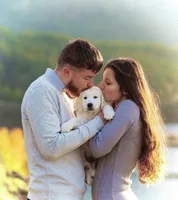 Precious Pearl, a female Golden Retriever and English Cream Golden Retriever for sale in Portland, OR – Photo 3 of 4