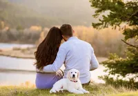 Precious Pearl, a female Golden Retriever and English Cream Golden Retriever for sale in Portland, OR – Photo 4 of 4