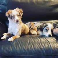 processed/811dfc5f-2b68-410d-a409-02549fee06cd/facility/0f32288e-4580-4d17-b52d-87fa0a76db92