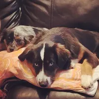 processed/811dfc5f-2b68-410d-a409-02549fee06cd/facility/57c0beaf-711f-4d4d-8b63-480cf89cb5e0