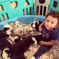 processed/811dfc5f-2b68-410d-a409-02549fee06cd/facility/64ba1ca4-dfde-4812-bb36-919a959c9cf4