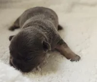 processed/8121cb40-f7b2-4022-b6ce-6dbae2fefdd0/listing/2ea05db1-f366-41e9-b526-67e028904e57/38d587c8-528f-4ba4-9125-0c345c1e922e