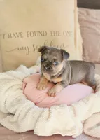 processed/8121cb40-f7b2-4022-b6ce-6dbae2fefdd0/listing/2ea05db1-f366-41e9-b526-67e028904e57/9e2a13d5-01cb-432c-9aa5-122366d4a8fd