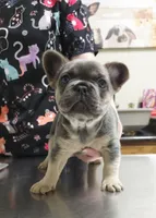 processed/8121cb40-f7b2-4022-b6ce-6dbae2fefdd0/listing/2ea05db1-f366-41e9-b526-67e028904e57/c1986557-c9b9-4bf2-a9be-3c92b613bf8a