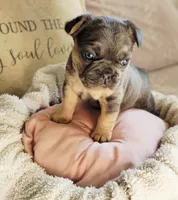 processed/8121cb40-f7b2-4022-b6ce-6dbae2fefdd0/listing/2ea05db1-f366-41e9-b526-67e028904e57/c76e4a46-3e36-47cb-ab0d-272ad3dd95e0