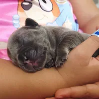 processed/8121cb40-f7b2-4022-b6ce-6dbae2fefdd0/listing/2ea05db1-f366-41e9-b526-67e028904e57/fb7032bc-ea6c-48b7-98bd-d759dc43f9d6