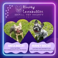 BB Biscuit, a female French Bulldog for sale in Hope Mills, NC – Photo 8 of 10