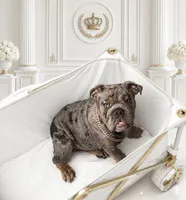 Blue Quad Merle female , a female English Bulldog for sale in San Diego, CA – 1 of 10
