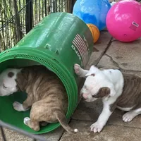 processed/813a53f4-5928-4d46-bbc7-4663a995a5ca/facility/c8263637-90ab-4556-b51c-a1a6c68533ca