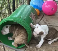 processed/813a53f4-5928-4d46-bbc7-4663a995a5ca/facility/c8263637-90ab-4556-b51c-a1a6c68533ca