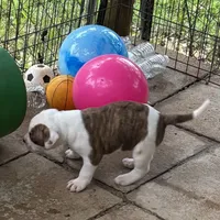 processed/813a53f4-5928-4d46-bbc7-4663a995a5ca/facility/d3dbea45-93c5-46f7-a6ce-62bf0bae2cdc