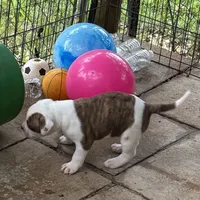 processed/813a53f4-5928-4d46-bbc7-4663a995a5ca/facility/d3dbea45-93c5-46f7-a6ce-62bf0bae2cdc