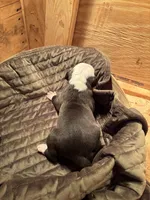 processed/813a53f4-5928-4d46-bbc7-4663a995a5ca/listing/294f9469-a58b-4d93-801f-7a25083e498d/048a0d14-bc57-4109-8480-eb740828b371