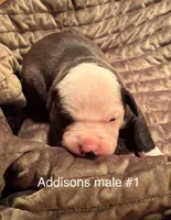 processed/813a53f4-5928-4d46-bbc7-4663a995a5ca/listing/294f9469-a58b-4d93-801f-7a25083e498d/3b0129cb-70c7-4c58-b2b3-4947326cf664