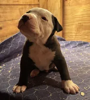 processed/813a53f4-5928-4d46-bbc7-4663a995a5ca/listing/294f9469-a58b-4d93-801f-7a25083e498d/4940909e-1c6e-4f6b-9047-b32adb8c1ede