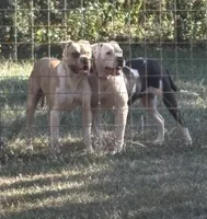 processed/813a53f4-5928-4d46-bbc7-4663a995a5ca/listing/294f9469-a58b-4d93-801f-7a25083e498d/846afcdc-91d1-4309-9365-1525ee9c8518