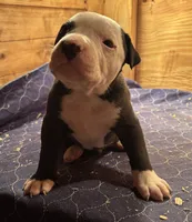 processed/813a53f4-5928-4d46-bbc7-4663a995a5ca/listing/294f9469-a58b-4d93-801f-7a25083e498d/d6c8fd62-b119-4596-a4f4-b1f1449f11ef