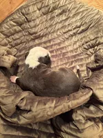 processed/813a53f4-5928-4d46-bbc7-4663a995a5ca/listing/294f9469-a58b-4d93-801f-7a25083e498d/ef9620d5-5a6c-42d7-9549-0d73979b6f67