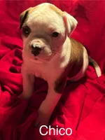 processed/813a53f4-5928-4d46-bbc7-4663a995a5ca/listing/2b1276f1-3abc-45a2-80d8-3597d4965ac0/917c8344-c25f-4229-a15c-24c4ee2dce9c