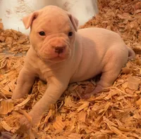 processed/813a53f4-5928-4d46-bbc7-4663a995a5ca/listing/9af971d8-d2f3-492a-b66a-6f1b99ee8769/17240844-85aa-4189-8ae3-7ef8e590158d