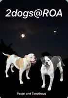 processed/813a53f4-5928-4d46-bbc7-4663a995a5ca/listing/9af971d8-d2f3-492a-b66a-6f1b99ee8769/645d3988-f260-459b-985e-d3624cf13d07