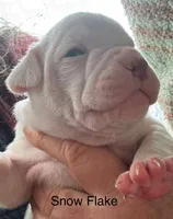 processed/813a53f4-5928-4d46-bbc7-4663a995a5ca/listing/9af971d8-d2f3-492a-b66a-6f1b99ee8769/cbf5d15d-279f-4310-bda9-2000de672cb7