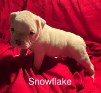 processed/813a53f4-5928-4d46-bbc7-4663a995a5ca/listing/9af971d8-d2f3-492a-b66a-6f1b99ee8769/e5d41b9a-85d2-4a60-9079-9c5024bd8b50