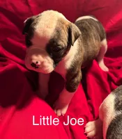 processed/813a53f4-5928-4d46-bbc7-4663a995a5ca/listing/a22fad2a-cdcd-4d15-a8bc-62b4cdf7e4ed/35770823-8891-4363-9f56-db4c0ff7d05a