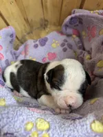 processed/813a53f4-5928-4d46-bbc7-4663a995a5ca/listing/a22fad2a-cdcd-4d15-a8bc-62b4cdf7e4ed/582586c0-a49a-4a5a-addb-6327577e6c91