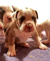 processed/813a53f4-5928-4d46-bbc7-4663a995a5ca/listing/b40e3b7d-b024-40fa-90ab-9114660a592f/d180069e-fca0-4e98-bb65-ed2434a15ee2