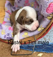 processed/813a53f4-5928-4d46-bbc7-4663a995a5ca/listing/b6b258e5-ec5e-47a1-b913-29a2445cb3e2/8e88caba-2cd5-43a9-82d2-868a7863a1da