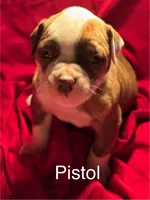 processed/813a53f4-5928-4d46-bbc7-4663a995a5ca/listing/b6b258e5-ec5e-47a1-b913-29a2445cb3e2/a69c4fca-3c88-46f5-a6cc-653b10a4a7b7