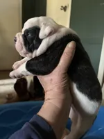 processed/813a53f4-5928-4d46-bbc7-4663a995a5ca/listing/cb313d90-4473-48a7-bd1b-4541d33f2d96/4dc0bf36-55f8-48ff-bd4f-6164c359a203