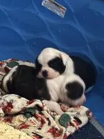 processed/813a53f4-5928-4d46-bbc7-4663a995a5ca/listing/cb313d90-4473-48a7-bd1b-4541d33f2d96/578463ee-0d3c-4da8-953d-cdef6299e7fd