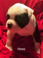 processed/813a53f4-5928-4d46-bbc7-4663a995a5ca/listing/cb313d90-4473-48a7-bd1b-4541d33f2d96/6dfa86fc-2876-42f2-89e9-23f35638f9a7