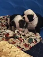 processed/813a53f4-5928-4d46-bbc7-4663a995a5ca/listing/cb313d90-4473-48a7-bd1b-4541d33f2d96/b01ecd0f-a4af-467a-9813-bcdec696ee8c