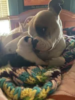 processed/813a53f4-5928-4d46-bbc7-4663a995a5ca/listing/cb313d90-4473-48a7-bd1b-4541d33f2d96/c5c6de6e-d1e2-4720-9242-5abaad491d9a