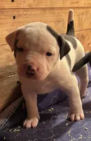 processed/813a53f4-5928-4d46-bbc7-4663a995a5ca/listing/e37f36f1-c5b9-490b-924d-cf915a997708/3573a275-345d-4dd8-86b0-24146b606a36