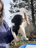 processed/813a53f4-5928-4d46-bbc7-4663a995a5ca/listing/e37f36f1-c5b9-490b-924d-cf915a997708/d1b47e1f-5999-4493-868d-4b8396cd8d30