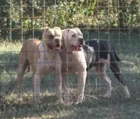 processed/813a53f4-5928-4d46-bbc7-4663a995a5ca/listing/e37f36f1-c5b9-490b-924d-cf915a997708/e8ee6e70-85e5-4c8b-abac-90bf9658da80