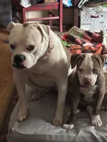 processed/813a53f4-5928-4d46-bbc7-4663a995a5ca/listing/f327da09-8d02-478c-90f4-e1665c4a9bed/3ce4d2eb-cefa-421a-a61d-af4643514729