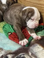 processed/813a53f4-5928-4d46-bbc7-4663a995a5ca/listing/f327da09-8d02-478c-90f4-e1665c4a9bed/7c754fae-08e5-418c-b47e-7043614b12f9