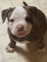 processed/813a53f4-5928-4d46-bbc7-4663a995a5ca/listing/f327da09-8d02-478c-90f4-e1665c4a9bed/917d7b9c-aeee-434b-b4e3-c1ddc63a3942