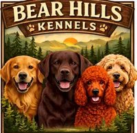 processed/813a71e6-a929-4bea-b644-976c3cdaa48a/facility/41a4f53f-5946-4aa4-845e-af1bccf124f7