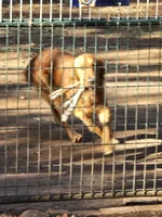 processed/813a71e6-a929-4bea-b644-976c3cdaa48a/facility/c415e1ff-6ccd-45cf-85ff-4f7c9b5e5aec