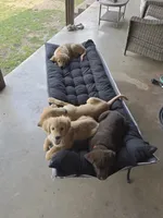 processed/813a71e6-a929-4bea-b644-976c3cdaa48a/facility/cf3abaf1-3cdf-4f8b-98a0-33aeac7b3351